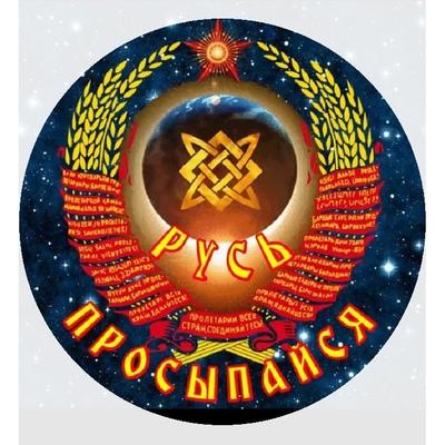 Александр Дмитрук