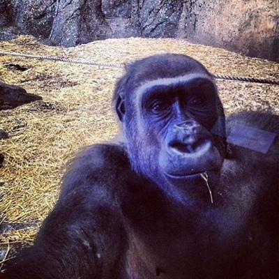 Руслан Ибрагимов
