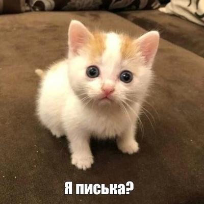 Георгий Минаев